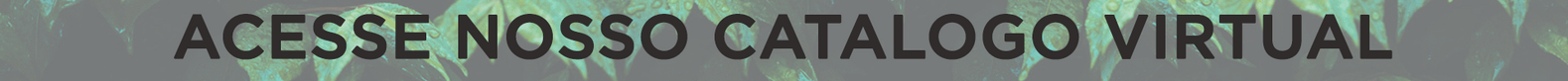 banner1