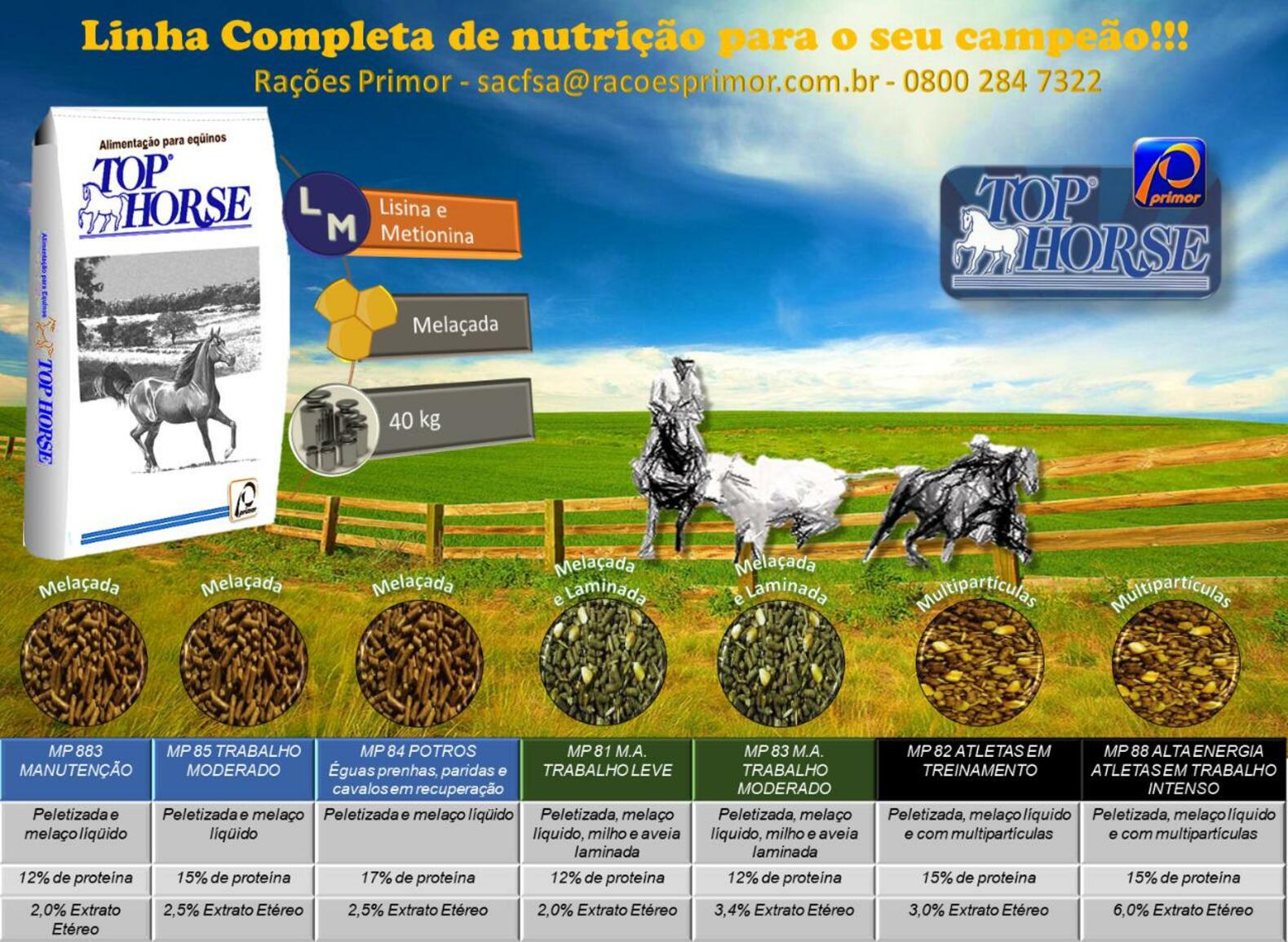 Linha Top Horse