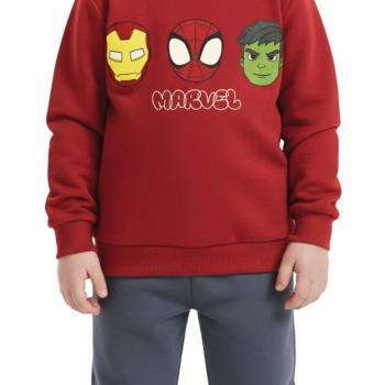 Conjunto Moletom Malwee Masculino Infantil 1000135757 Blusão/Calça  1 ao 3 44782 k26
