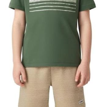 Conjunto Carinhoso Masculino Infantil 1000136259 Camiseta/Bermuda 1 ao 3 44209 k26