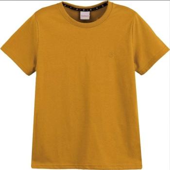 Camiseta Carinhoso Masculina Infantil Tradicional 1000116240 4 ao 8 41048