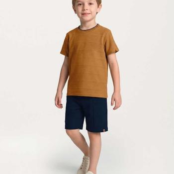 Conjunto Carinhoso Masculino Infantil 1000139184 Camiseta/Bermuda 4 ao 8 45256 k26