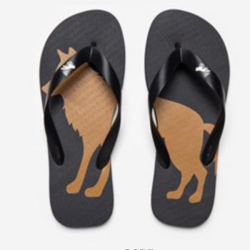 Chinelo Acostamento Masculino 321429002 Preto/Ocre 50838