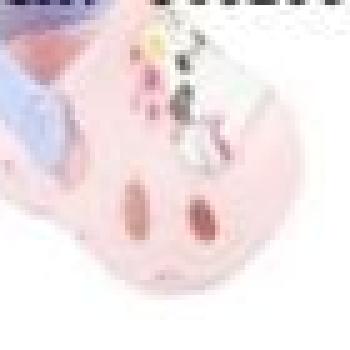 Babuche Keto Feminina 36011346 Rosa/Azul 43863