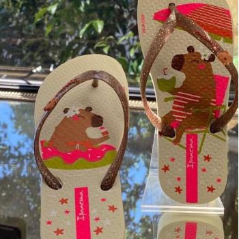 Sandália Ipanema Feminina Hype 27388 Bege/Marrom/Glitter 43622