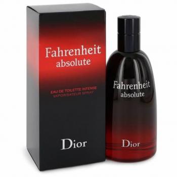 Perfume Masculino Fahrenheit Eau de Toilette Dior 100 ML 48996