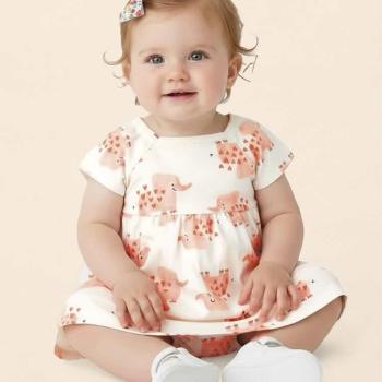 Conjunto Malwee Feminino Bebê 1000139449 Vestido/Calcinha 6M ao 18M 45243 K26
