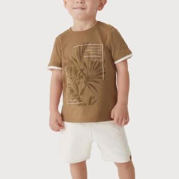 Conjunto Carinhoso Masculino Infantil 1000132305 Camiseta/Bermuda 1 ao 3 43716
