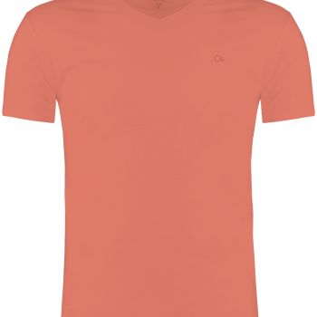 Camiseta Básica Ogochi Masculina Slim Gola V 06000003   35766