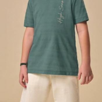 Conjunto Tiny Joy Masculino Infantil 12681 Camiseta/Bermuda  1 ao 3 45197 k26