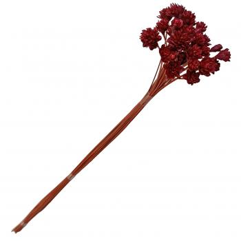 Flor Seca - Botão Espeta Nariz - (Vermelho)