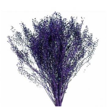 Flor Seca - Sementinha - (Roxo)