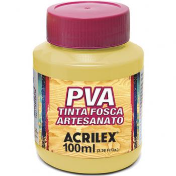 Tinta PVA (100ml) - Melão 895