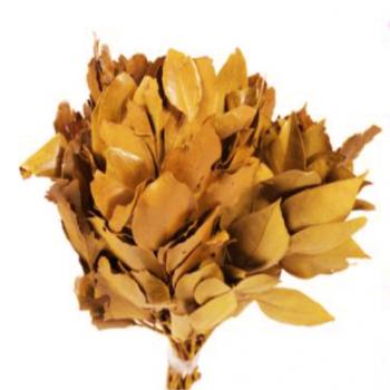 Flor Seca - Carne de Vaca Carvalho (Laranja)