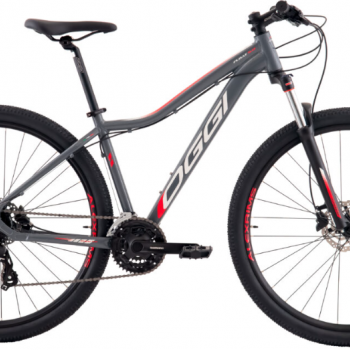 BIC OGGI 29 FLOAT 5.0 24V GRAF/CINZA/VERM 17 - DCRE 2024/02770-3