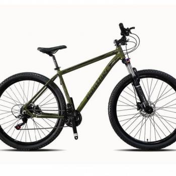 BICICLETA 29“ PANTHER  21V MAGNO VERDE