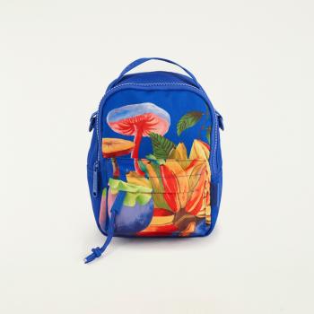 MINI MOCHILA FARM BOROGODO ARCO IRIS