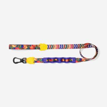 Guia com amortecedor farm zee dog samba