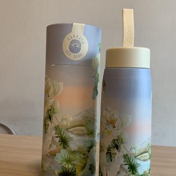 GARRAFA FARM QUE SEDE 500ML WELLNESS CHA
