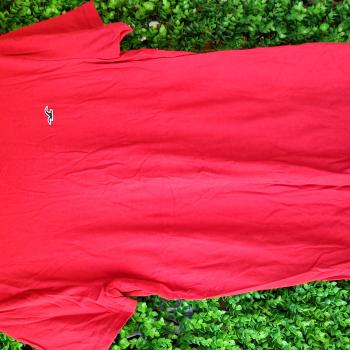 BLUSA VERMELHA ESTAMPA LISA COM PASSARO DA MARCA MASC  TAM M- HOLLISTER