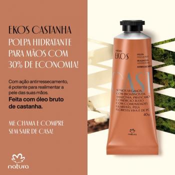 CREME PARA MÃOS CASTANHA  40g NATURA EKOS