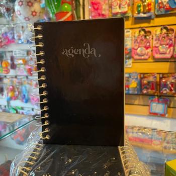 AGENDA 160/168 FOLHAS BAAG