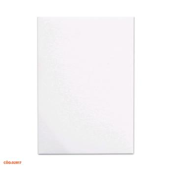 TELA PARA PINTURA 40X60CM 1X1 UN