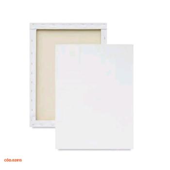 TELA PARA PINTURA 27X35CM 1X1 UN