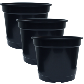 e244411bd12d7009a95c04a9370de933.png