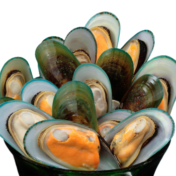 MEXILHÃO NACIONAL MEIA CONHA CONGELADO 1KG