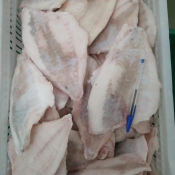 FILÉ DE PAMPO G SEM PELE REFERÊNCIA: 62365  (121/200 G/PÇ)