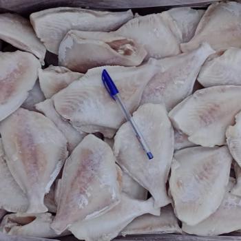 PEIXE PEROÁ GRANEL SEM PELE E SEM CABEÇA 200/UP REFERÊNCIA: 1394