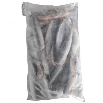 SARDINHA MAROMBA  EVISCERADA SEM CABEÇA