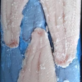 FILÉ DE PANGA  PREMIUM ITF DRENADO 200 UP -CAIXA BRANCA - HOANG LONG