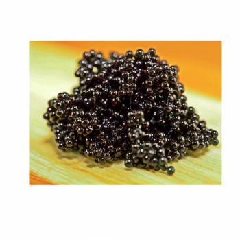e6772cfd5b8c455a90e857fd13a0104a.png