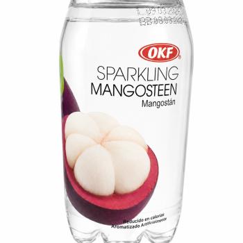 REFRIGERANTE SABORIZADO LEVEMENTE GASEIFICADO MANGOSTIN 350ML