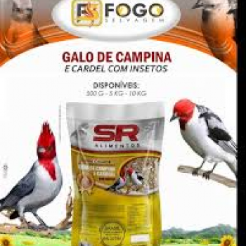 RACAO GALO CAMPINA FS C/INSSETOS 500G