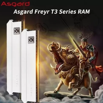 Memoria Asgard Ddr5 4800mhz 16gb (2x8gb) Freyr