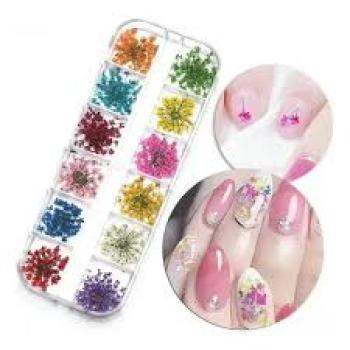 ESTOJO (FLOR SECA) CORES DIVERSAS 12 UNID