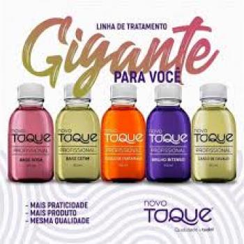 ESM NOVO TOQUE (PROFISSIONAL) 60ML