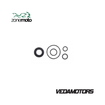 125 TITAN KIT RETENTOR MESA MAGNETO (JG) - VDM VE990571186AN 873.