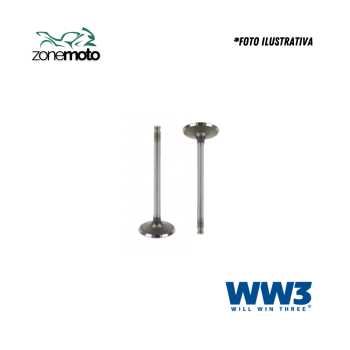 125 BIZ VALVULA (par) - WW3 1104435 222.