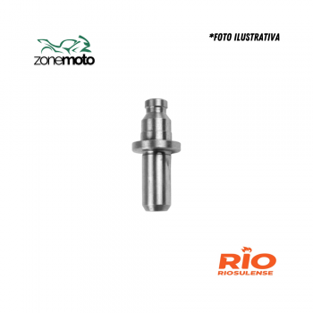 125 CG/ML/TU GUIA VALVULA 0.40 (UN) - RIOSULENSE 92/01 11735045 700.