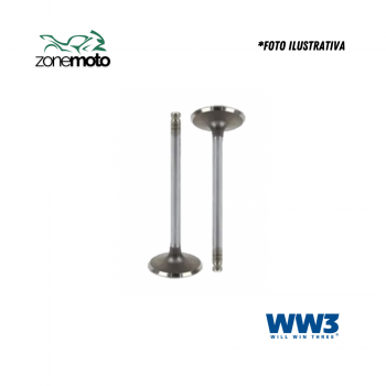 250 TWISTER/TORNADO VALVULA (A/E) (par) - WW3 1104438 031. #