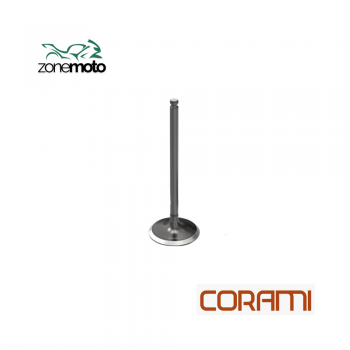 125 BIZ VALVULA (E) (UN) - CORAMI 244.