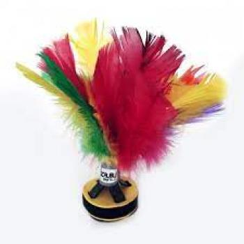 SUBSTITUIR ESPORTE