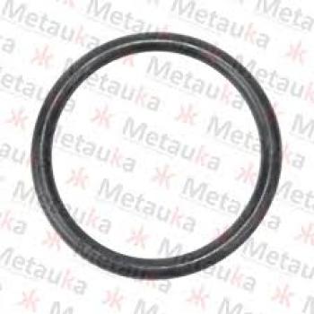 ANEL ORING POLEGADA 139 X 5,33 GASOLINA/ALCOOL RF2357