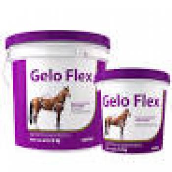 GELO FLEX ESP 8X12 -UNIQMED