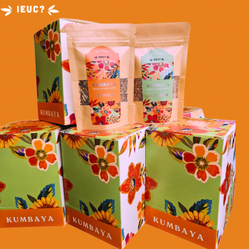 KUMBAYA - MESCLA DE FLORES E ERVAS - ATIVAR - IEUC cx/5uni.