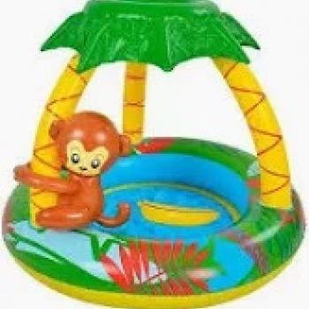 Piscina  Inflável Com Cobertura Brizi